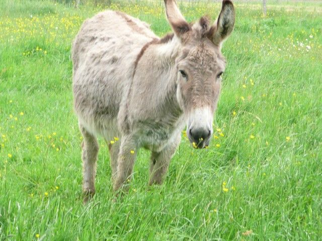 nettoyage mai 2012 (9).jpg